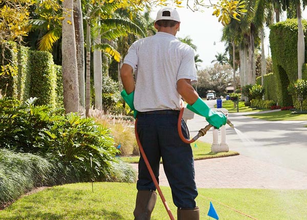 About Ardsley NY Pest Control